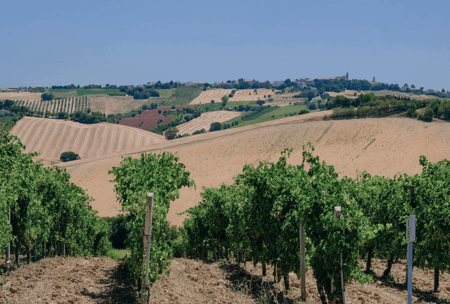 Cosa fare Sabina Romana